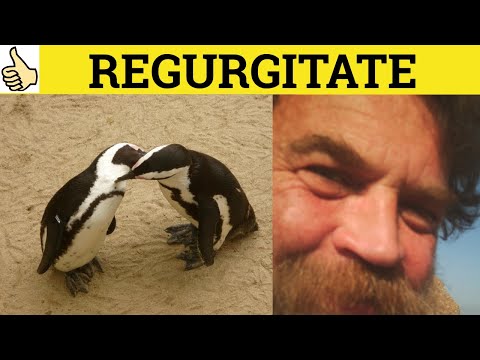🔵 Regurgitate - Regurgitate Meaning - Regurgitate Examples - Regurgitate Definition