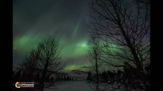 Northern Lights in Iceland