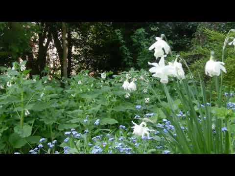 Misty Bywater - Gently Does It (album version)