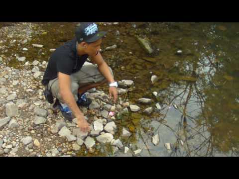 Thai Rap Lil B Featuring Joey P FTT - Somebody (Official Music Video)