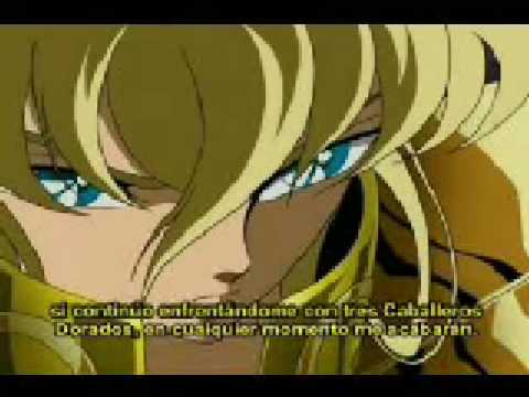 caballeros del zodiaco tributo a shaka de virgo