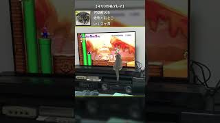 マリオもキノコも喰らい尽くしてやる!!