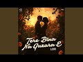 Tere Bina Na Guzara E LoFi