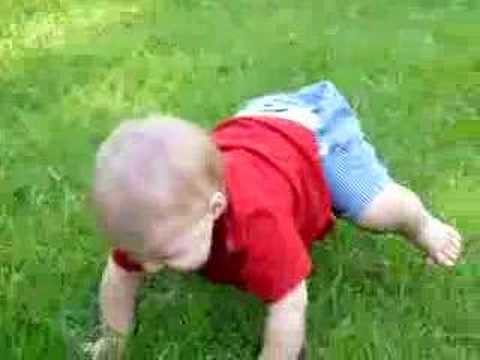 NIko learning to crawl on grass