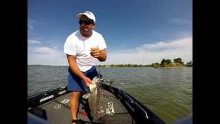 preview picture of video 'Kansas Walleye & Wipers with Hook'Em Guide Service'