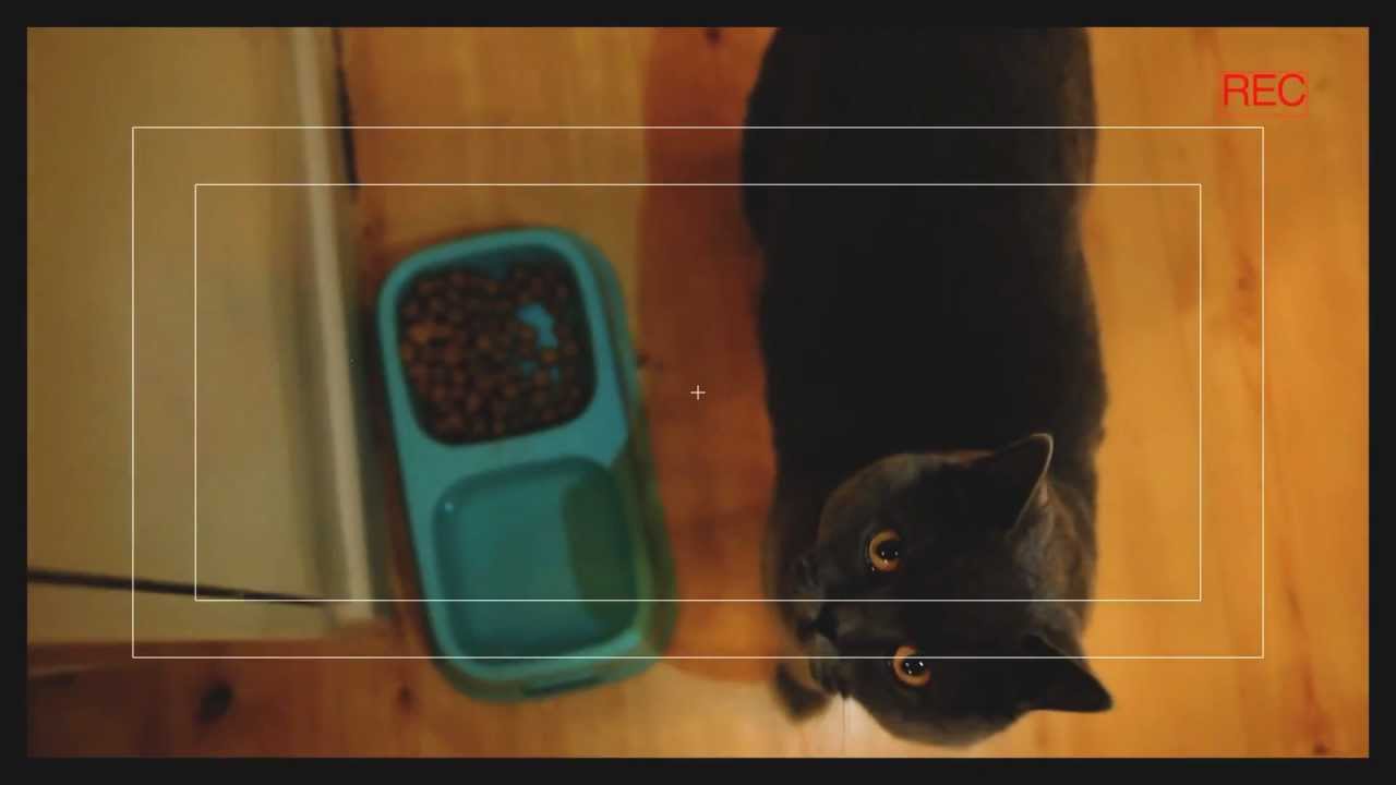 Hell Cat Trailer 2012