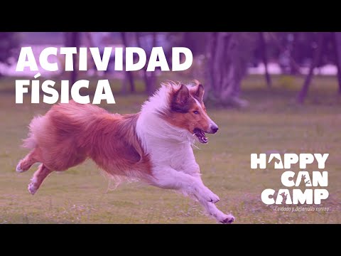 Actividad Física y Ejercicio, con Gerson