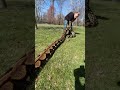 Taking My 20 Foot Python To The Park