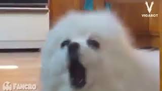 Movimiento naranja remix