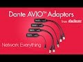 Introducing Dante AVIO Adapters  - Network Everything