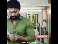 Husband Wife Love In Pregnancy Time Cute Love Song