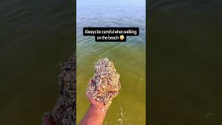 Download lagu Why Is Everyone Obsessed With Labubu?😱🤯#shorts mp3