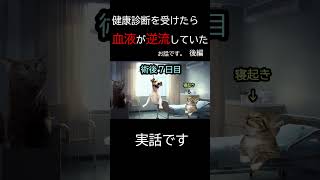 【猫ミーム 後編】 健康診断を受けたら血液が逆流していたお話です #猫ミーム  #shorts