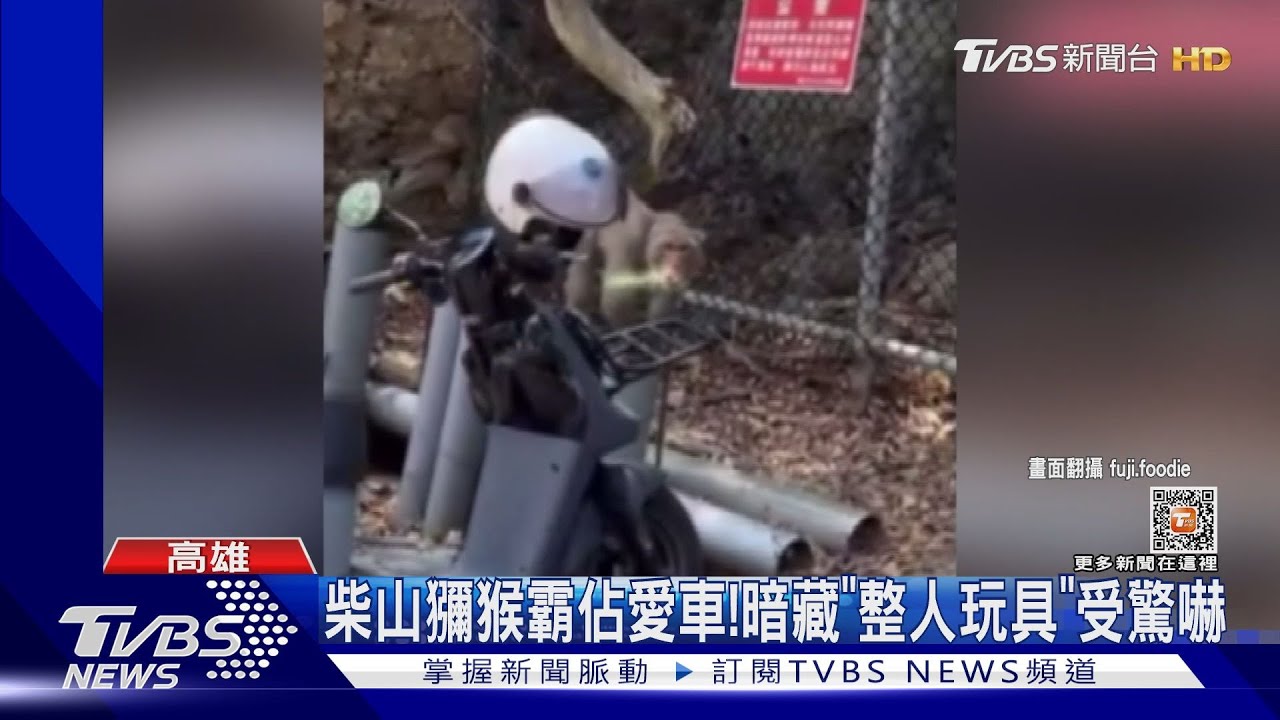 柴山獼猴被整人玩具嚇!跟風桃園狒狒 陳其邁也發「狒」文