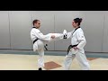 Gajok Taekwondo Green Belt Self Defence 1