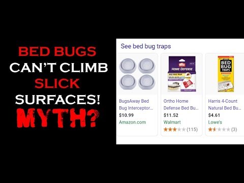 YouTube video about: Can bed bugs climb plastic?