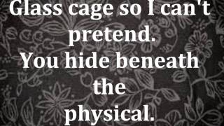 Looking Glass: The Birthday Massacre Lyrics