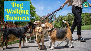 How to Start a Dog Walking Business in Your Neighborhood? How to Start Your Own Dog Walking Business