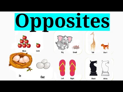 Kids vocabulary - Opposite Words - Learning about Opposites - English for kids