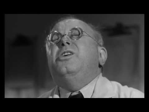 Visual Essay - Film Noir