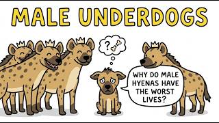 Why Do Male Hyenas Have the Worst Lives?