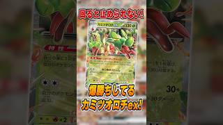 ポケカ新シーズン開幕！「カミツオロチex」が爆勝ちしていたので紹介＆解説♪【シティリーグ2027S1】