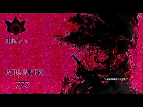 Cactus Twisters - 777 (Original Mix) TULIPA029