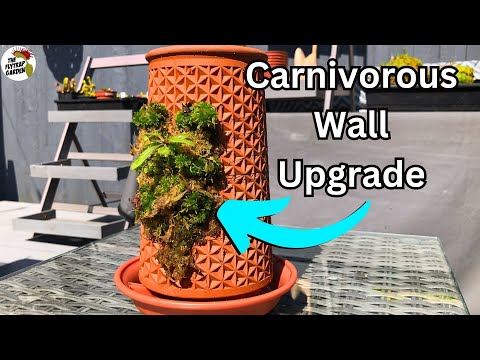 Vertical Garden Upgrade