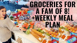 Groceries + meal plan for family of 8! +TONS of affordable grocery tips!