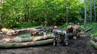 Wow... 24 FOOT LONG LOGS!! #840
