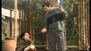 Anteena Washing Powder - Taamak Toyian