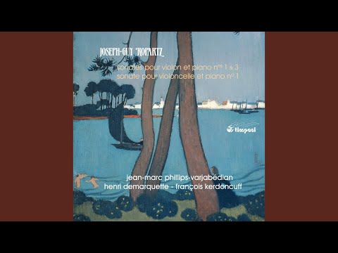 Violin Sonata No. 1 in D Minor: I. Lento - Allegro moderato