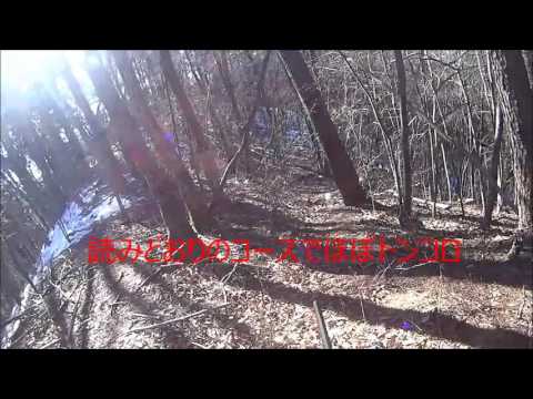 2016 02 13鹿トンコロ動画　deer hunting in Japan