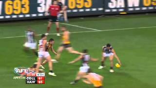 Agony and Ecstasy - Hawks v Pies 2012