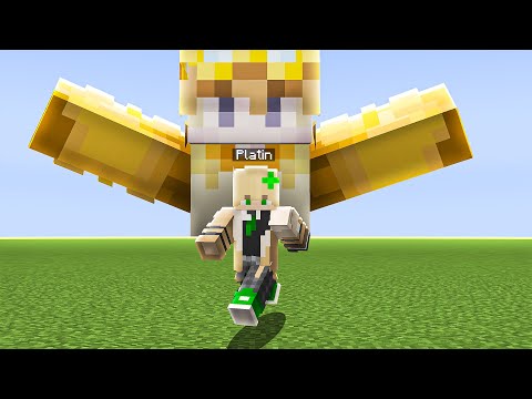 Ich KONTROLLIERE PLATIN 24 STUNDEN lang! (Minecraft Nachbarschaft)