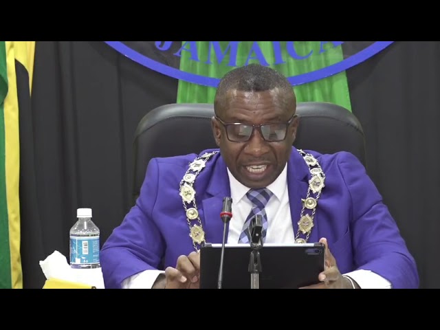 Mayor of Kingston Andrew Swaby has lauded the 2026 Carnival season as a “resounding success” driving economic activity across various sectors, despite a shooting incident at the Big Wall carnival party on Sunday.