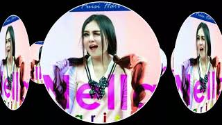 Download lagu Nella kharisma bojoku di gondol bojone mp3 Download lagu Nella kharisma bojoku di gondol bojone mp3