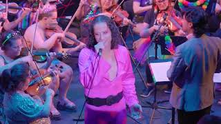 Your Song performed by Denver Rock Orchestra