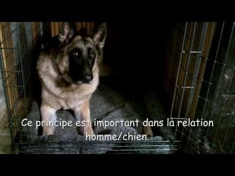comment renforcer une berge
