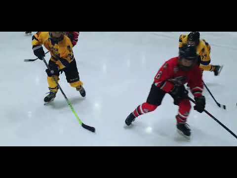 HC VIPERS 2013/14 - HK TORNAADO ENKV U10-1 2022/2023