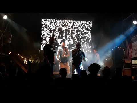 Lapes x No Bling Show Live at Farsons Beerfest 2019 28/07/2019