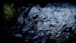 Stenobot - &#39;Dancing Shadows&#39; VIDEO