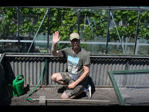 , title : 'Vlog10 #Moestuin en Watermeloen planten'