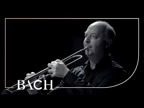 Bach - Brandenburg Concerto no. 2 in F major BWV 1047 - Sato | Netherlands Bach Society