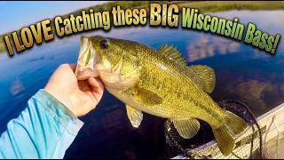 I LOVE Catching these BIG Wisconsin Bass!
