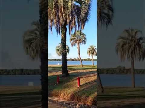 Las playas de mi querida ciudad! Colón, Entre Ríos!