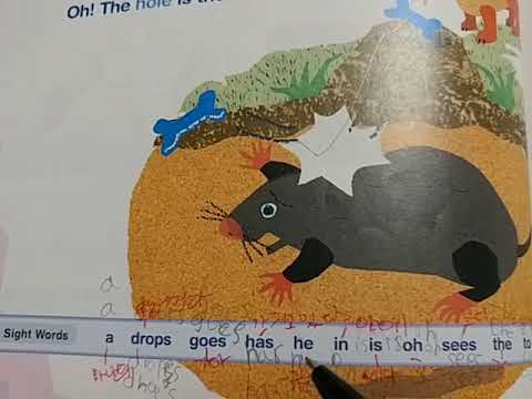 P3- 62 - unit 6 -story - HWF