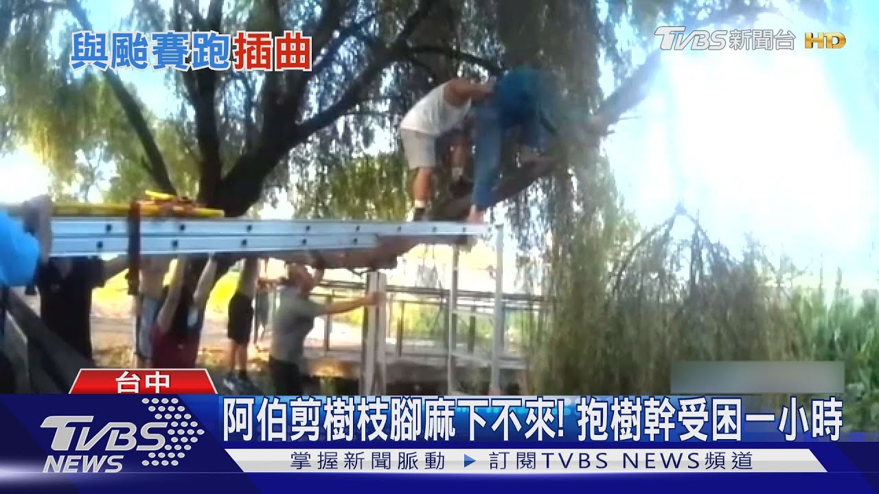 阿伯剪樹枝腳麻下不來! 抱樹幹受困一小時