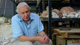 The largest thighbone ever found - Attenborough and the Giant Dinosaur: Preview - BBC One
