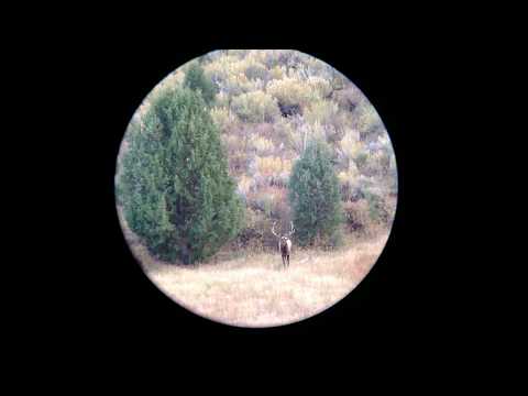 280 AI Elk. 168 berger